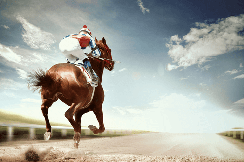 How to Bet on Horse Races