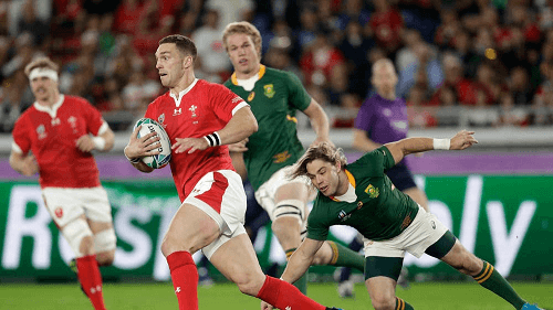 Wales v South Africa Match Highlights