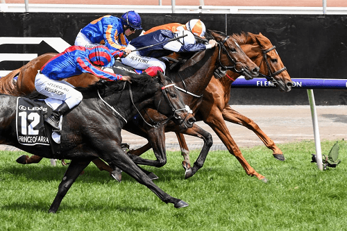 Melbourne Cup Punter wins