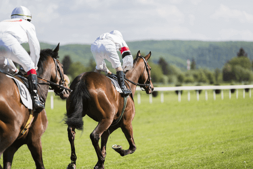 Best Racing Bets to Try