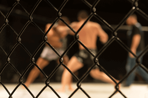 MMA Betting Sites